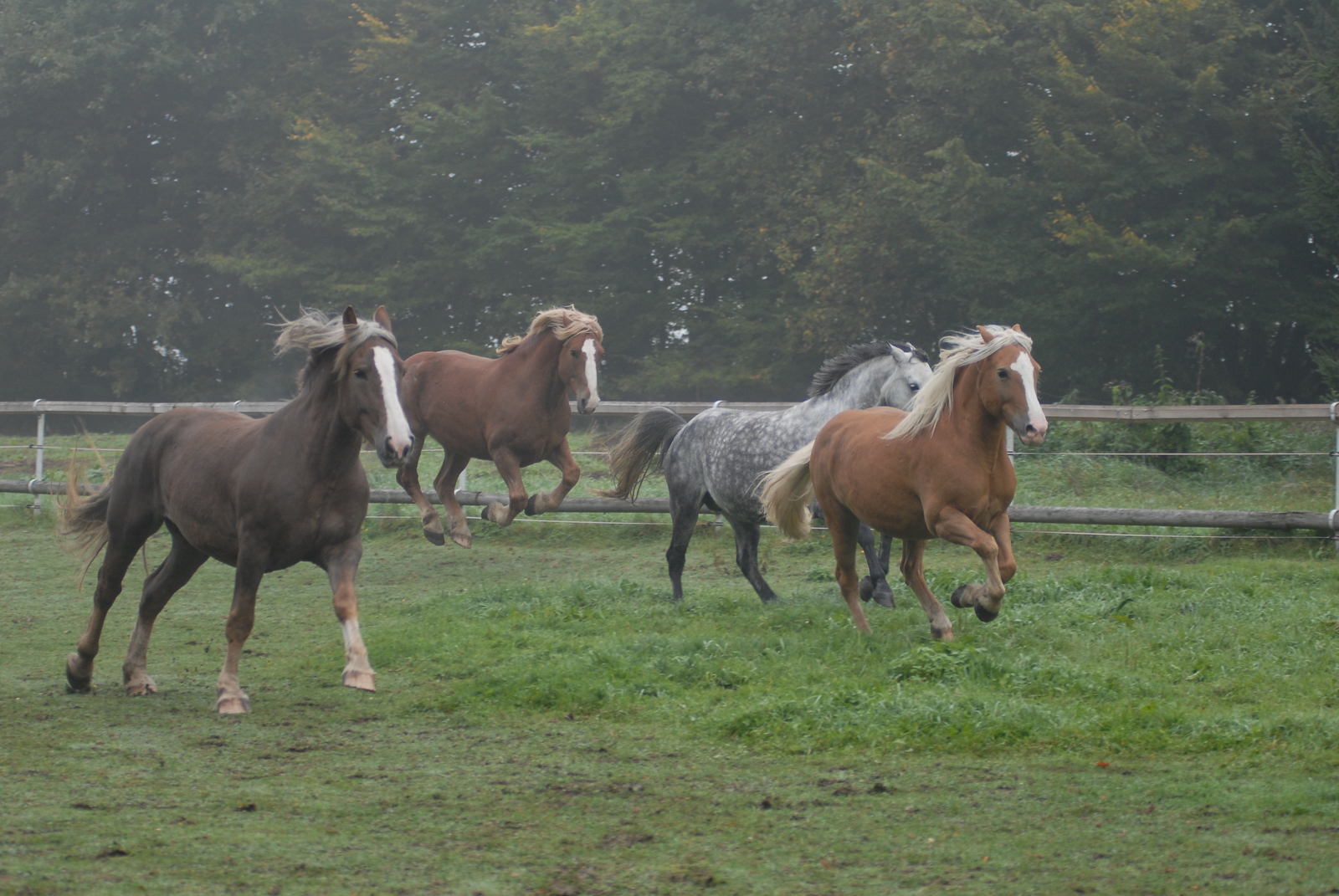 SH3_0764.JPG